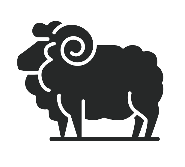 Chilled and frozen lamb meat